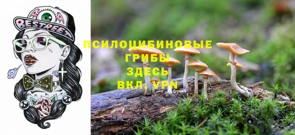 крисы Володарск